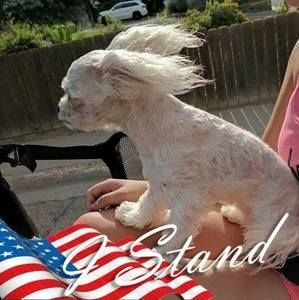 Meet your Posher, Deb